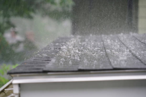 Best Solar Panel Roofing Installation  in Cross Roads, TX