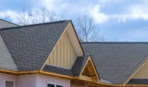 Best Solar Panel Roofing Installation  in Cross Roads, TX